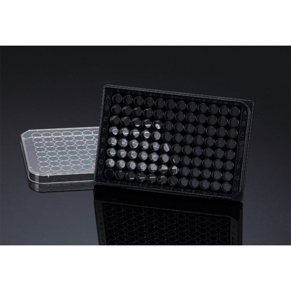 96 well black microplate